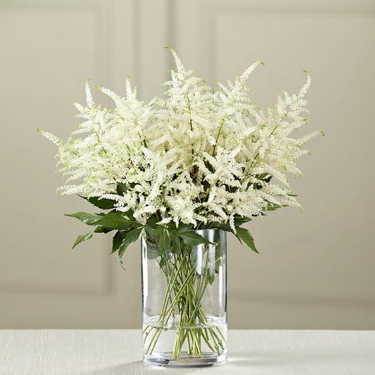 White Astilbe Bouquet –  Floreria Principe De Paz Llc, Somerset NJ