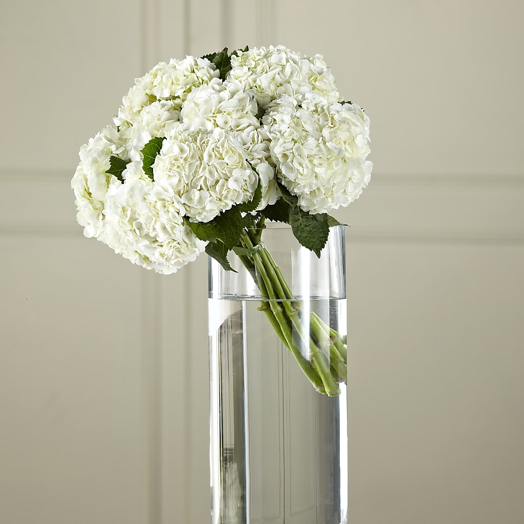 White Hydrangea Hand-Tied Bouquet –  Floreria Principe De Paz Llc, Somerset NJ