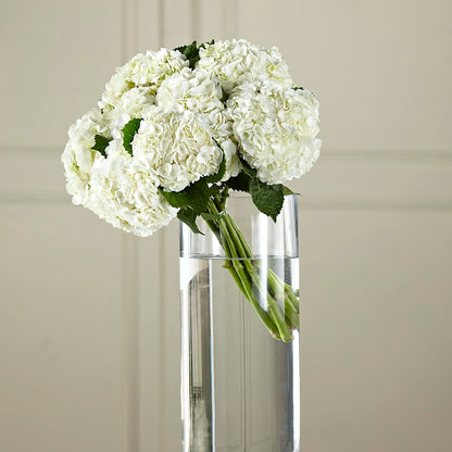 White Hydrangea Hand-Tied Bouquet –  Floreria Principe De Paz Llc, Somerset NJ
