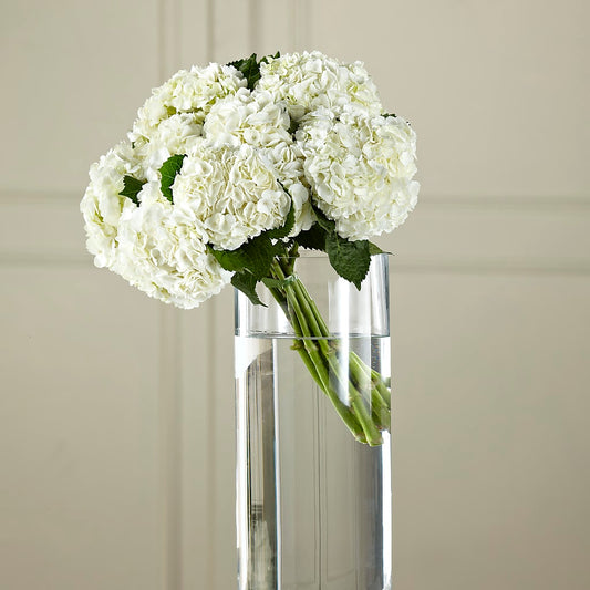 White Hydrangea Hand-Tied Bouquet –  Floreria Principe De Paz Llc, Somerset NJ