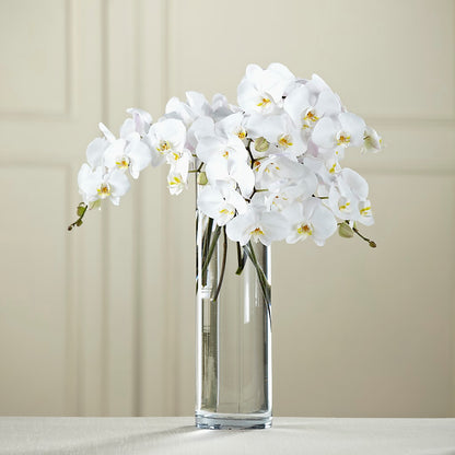 White Phalaenopsis Bouquet –  Floreria Principe De Paz Llc, Somerset NJ