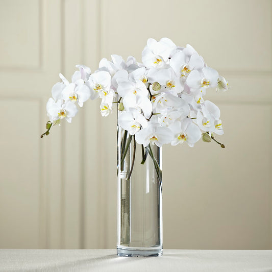 White Phalaenopsis Bouquet –  Floreria Principe De Paz Llc, Somerset NJ