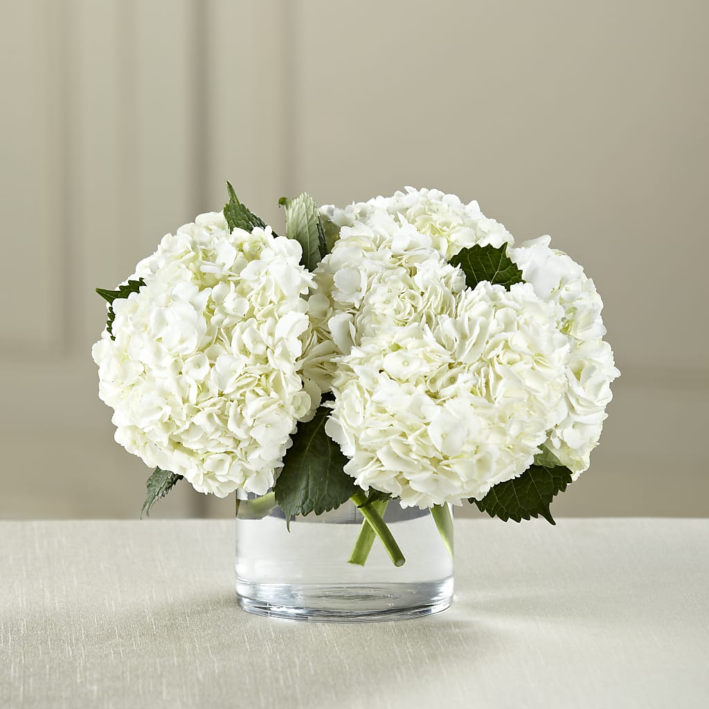 White Hydrangea Bouquet –  Floreria Principe De Paz Llc, Somerset NJ