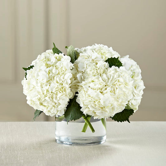 White Hydrangea Bouquet –  Floreria Principe De Paz Llc, Somerset NJ