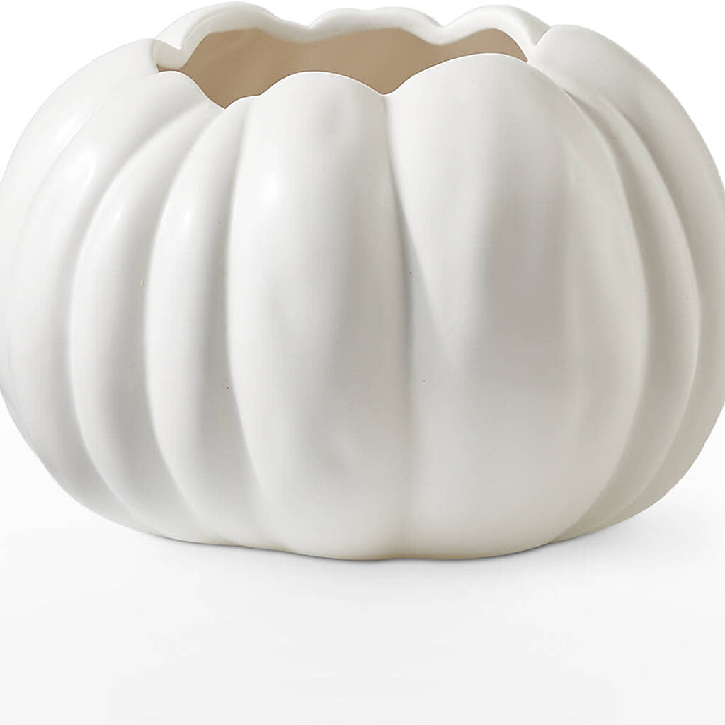 Autumn Air Pumpkin Bouquet –  Floreria Principe De Paz Llc, Somerset NJ